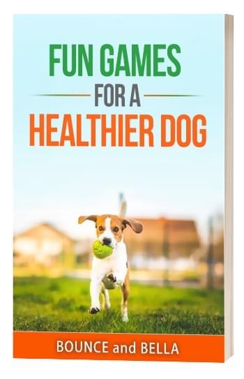 Fun Games for a Healthier Dog